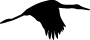 Pájaro