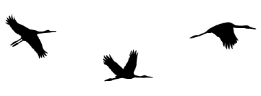 SILUETA DE AVES 1